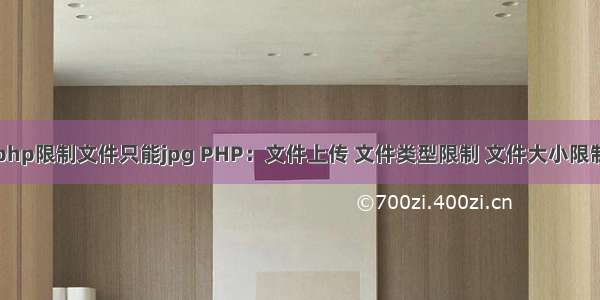 php限制文件只能jpg PHP：文件上传 文件类型限制 文件大小限制