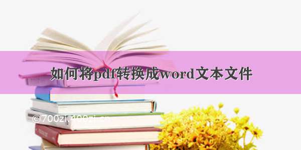 如何将pdf转换成word文本文件