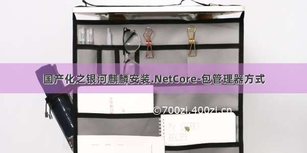 国产化之银河麒麟安装.NetCore-包管理器方式