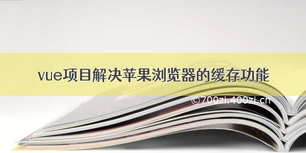 vue项目解决苹果浏览器的缓存功能