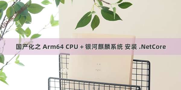 国产化之 Arm64 CPU + 银河麒麟系统 安装 .NetCore