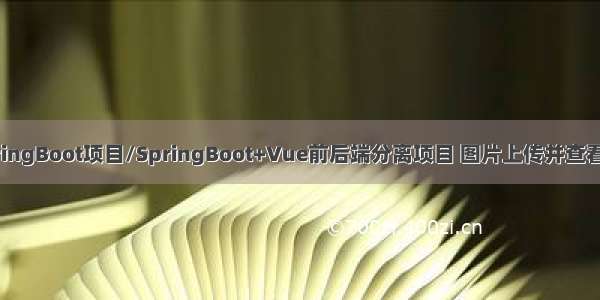 SSM项目/SpringBoot项目/SpringBoot+Vue前后端分离项目 图片上传并查看功能实现汇总