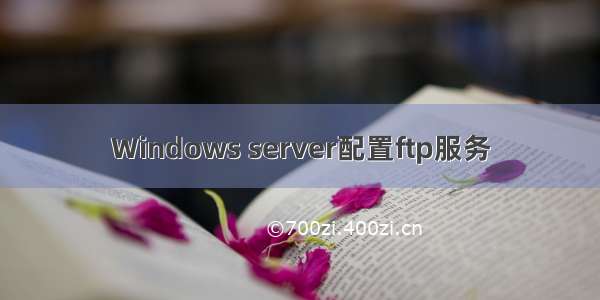 Windows server配置ftp服务