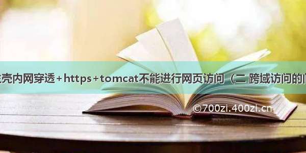 花生壳内网穿透+https+tomcat不能进行网页访问（二 跨域访问的问题）