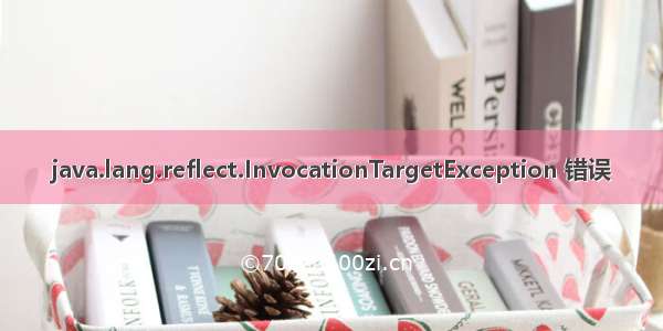 java.lang.reflect.InvocationTargetException 错误