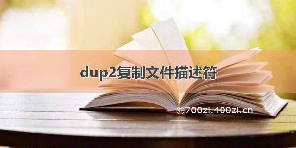 dup2复制文件描述符