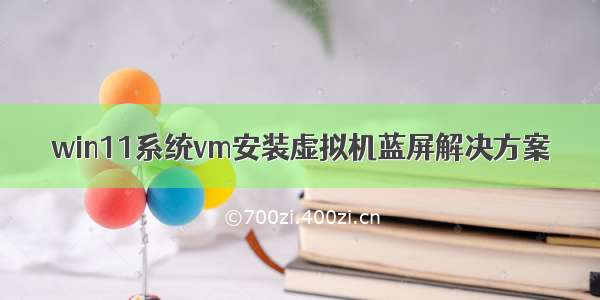 win11系统vm安装虚拟机蓝屏解决方案