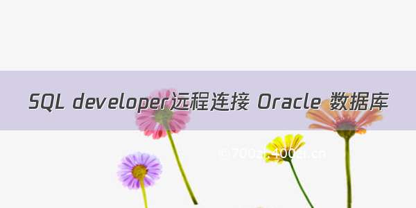 SQL developer远程连接 Oracle 数据库