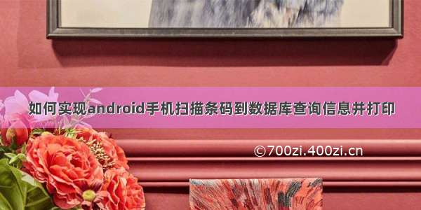 如何实现android手机扫描条码到数据库查询信息并打印