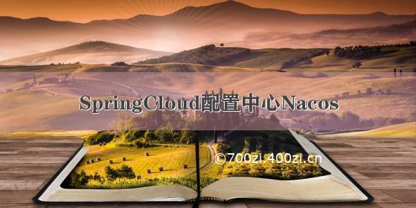 SpringCloud配置中心Nacos