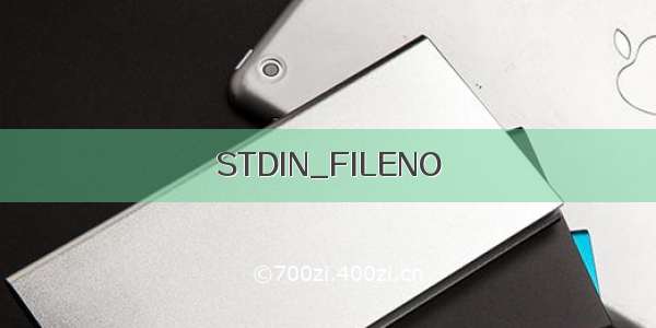 STDIN_FILENO