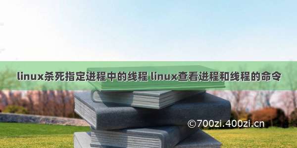 linux杀死指定进程中的线程 linux查看进程和线程的命令