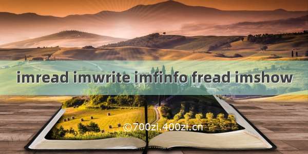 imread imwrite imfinfo fread imshow