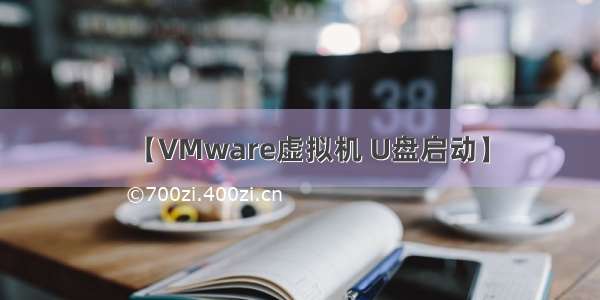 【VMware虚拟机 U盘启动】