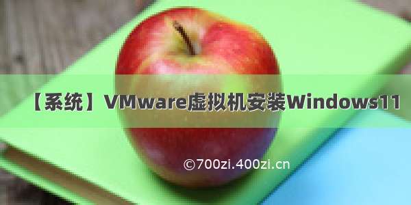【系统】VMware虚拟机安装Windows11