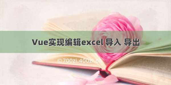 Vue实现编辑excel 导入 导出