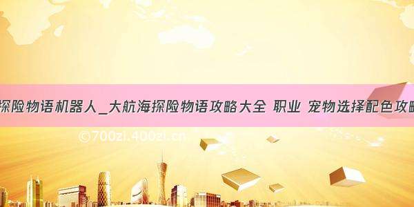 大海贼探险物语机器人_大航海探险物语攻略大全 职业 宠物选择配色攻略汇总...