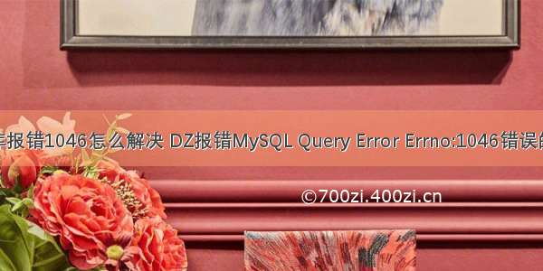 php数据库报错1046怎么解决 DZ报错MySQL Query Error Errno:1046错误的解决办法