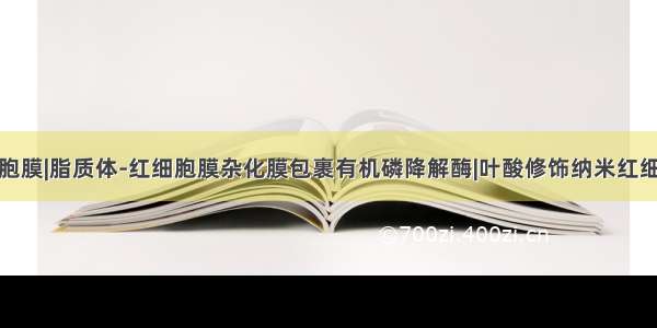 冻干巨噬细胞膜|脂质体-红细胞膜杂化膜包裹有机磷降解酶|叶酸修饰纳米红细胞膜靶向递