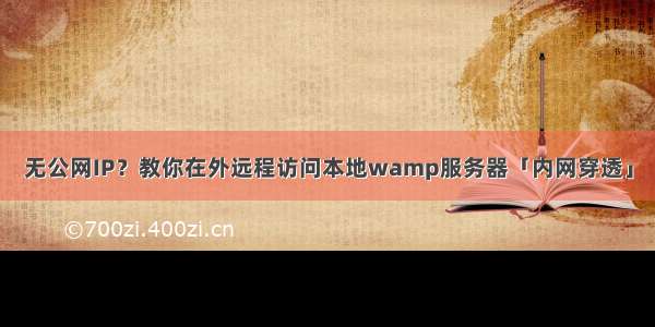 无公网IP？教你在外远程访问本地wamp服务器「内网穿透」