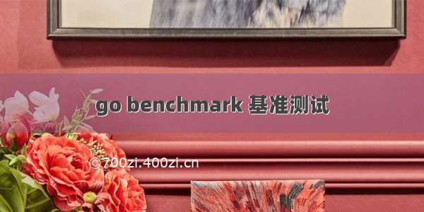 go benchmark 基准测试