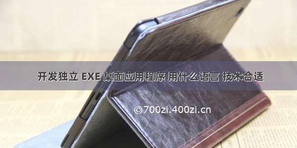  开发独立 EXE 桌面应用程序 用什么语言 技术合适