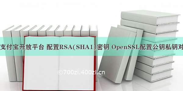 支付宝开放平台 配置RSA(SHA1)密钥 OpenSSL配置公钥私钥对