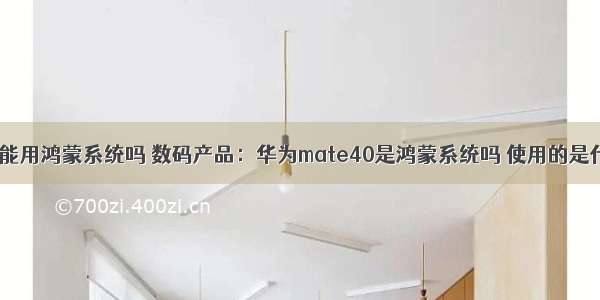 mate40不能用鸿蒙系统吗 数码产品：华为mate40是鸿蒙系统吗 使用的是什么系统...