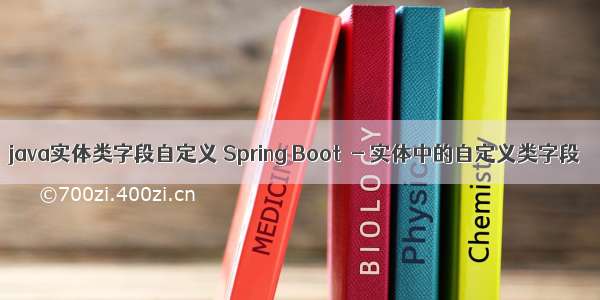 java实体类字段自定义 Spring Boot  - 实体中的自定义类字段