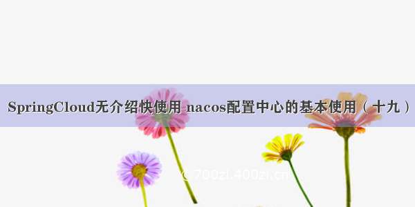 SpringCloud无介绍快使用 nacos配置中心的基本使用（十九）