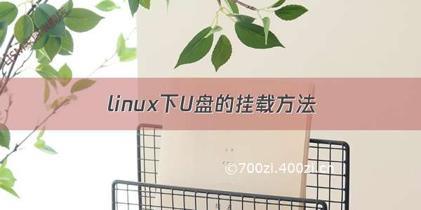 linux下U盘的挂载方法