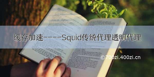 缓存加速----Squid传统代理透明代理