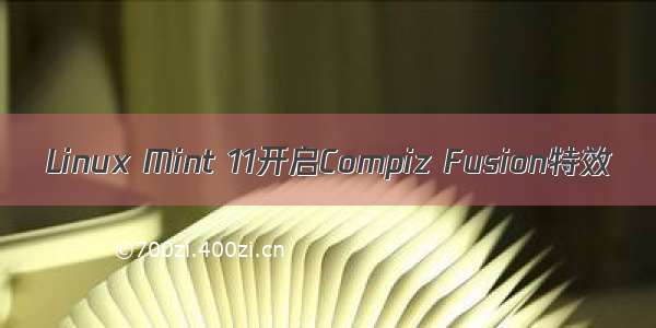 Linux Mint 11开启Compiz Fusion特效