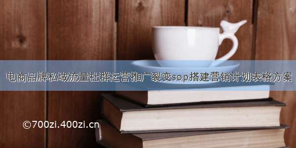 电商品牌私域流量社群运营推广裂变sop搭建营销计划表格方案