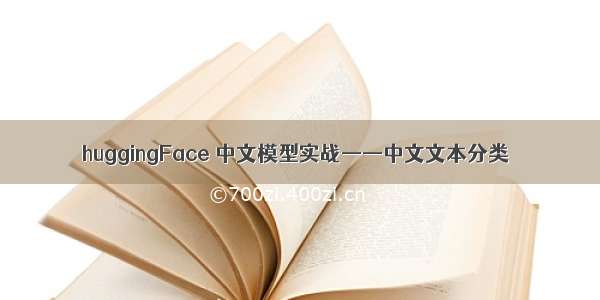 huggingFace 中文模型实战——中文文本分类