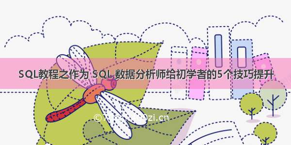 SQL教程之作为 SQL 数据分析师给初学者的5个技巧提升