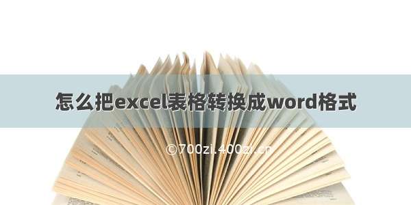 怎么把excel表格转换成word格式