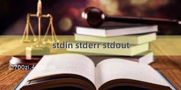 stdin stderr stdout