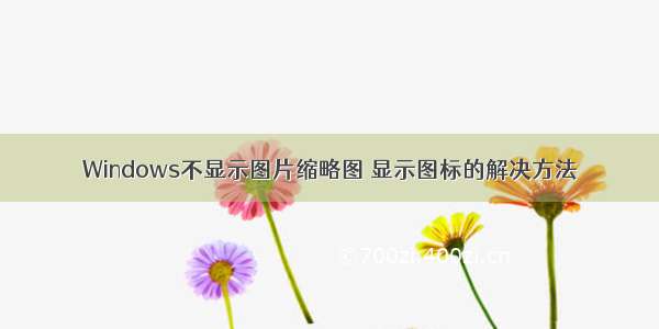 Windows不显示图片缩略图 显示图标的解决方法