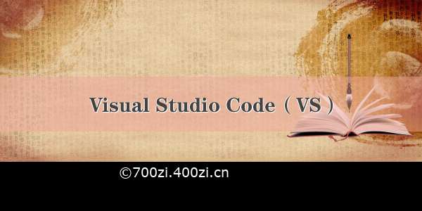 Visual Studio Code（VS）