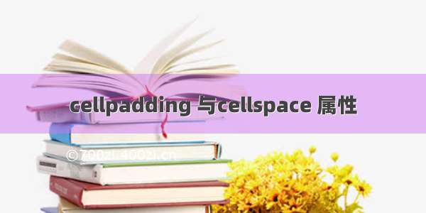 cellpadding 与cellspace 属性