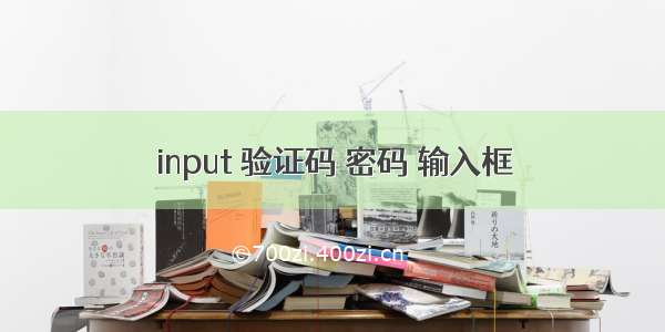 input 验证码 密码 输入框