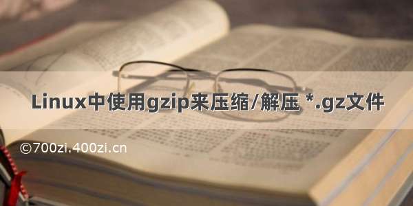 Linux中使用gzip来压缩/解压 *.gz文件