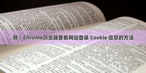 转：Chrome浏览器查看网站登录 Cookie 信息的方法