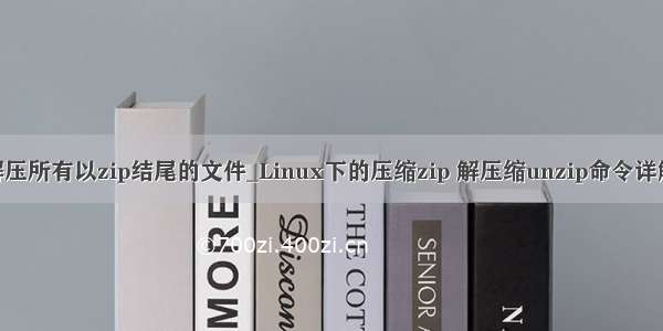 linux 解压所有以zip结尾的文件_Linux下的压缩zip 解压缩unzip命令详解及实例