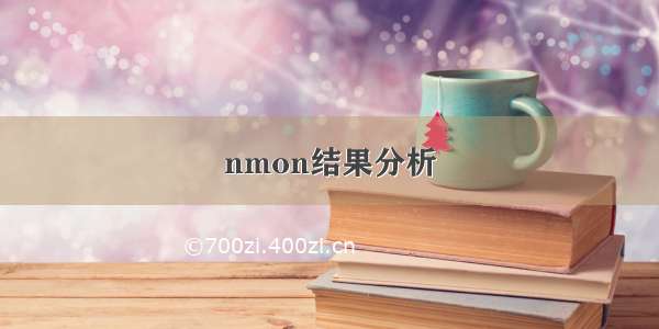 nmon结果分析