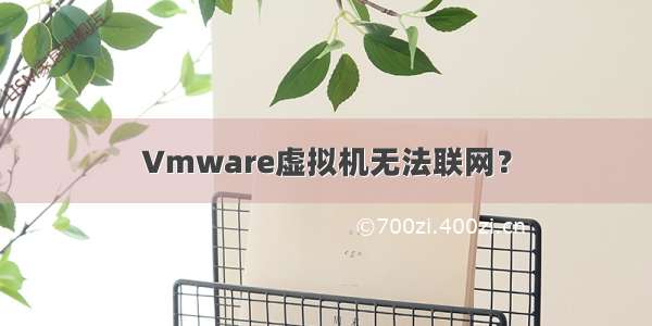 Vmware虚拟机无法联网？