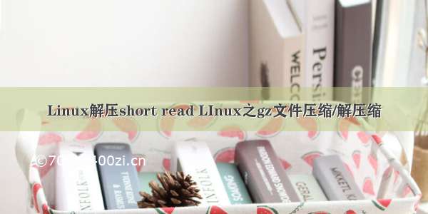 Linux解压short read LInux之gz文件压缩/解压缩