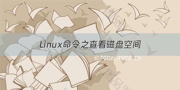 Linux命令之查看磁盘空间