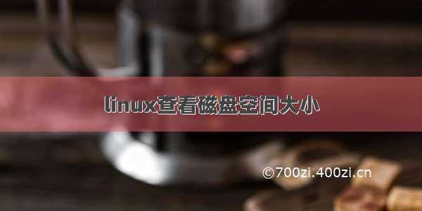 linux查看磁盘空间大小